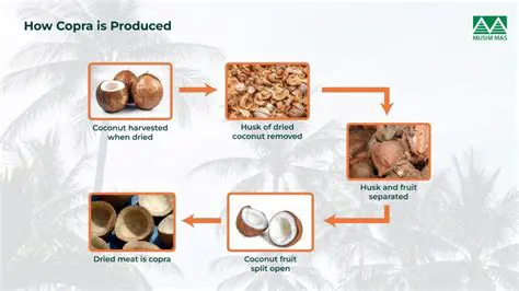 Invest in the coconut cream making factory