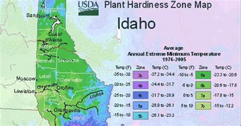 Is Southern Idaho a Desert? Unveiling the Arid Beauty and Agricultural Heartbeat