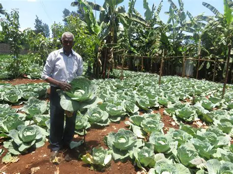 Iwilson Ewean: A Pioneer in Sustainable Agriculture and Community Development