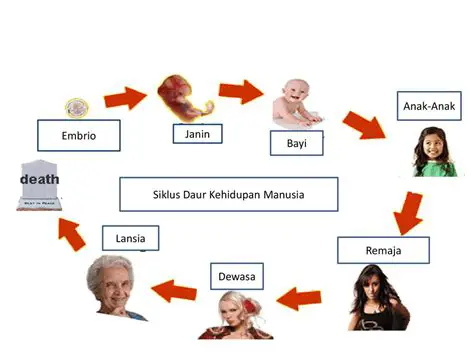 Kelahiran dan Kematian: Menguak Misteri Siklus Abadi Kehidupan Manusia