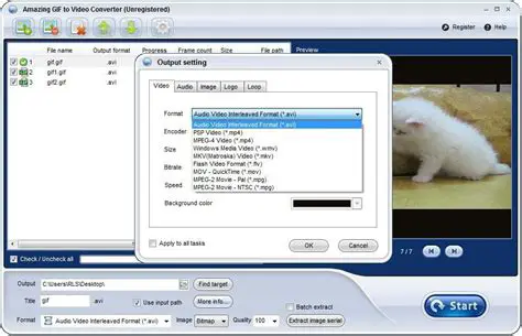 Key Features of Amazing GIF to Video Converter