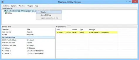 Key Features of Makhaon DICOM Dump