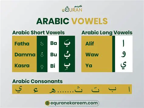Kooora: The Ultimate Guide to the World of Arabic Football