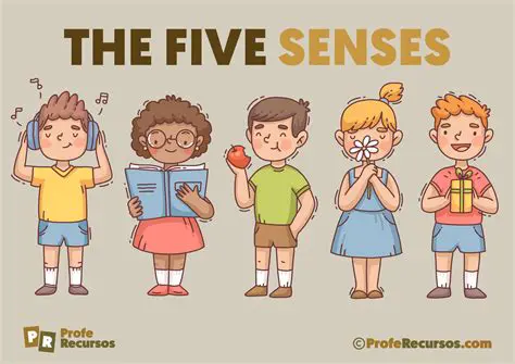 La Importancia de los 5 Sentidos en la Vida Humana