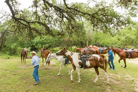 The Latest Cowboy News: Ranging from Rodeos to Ranch Life and Beyond