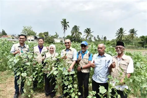 Lembaga Kenaf dan Tembakau Negara: Unlocking Potential for Sustainable Agriculture and Industry