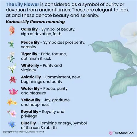 Lily Colors and Their Meanings