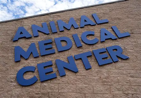 LMZH Danbury CT AMC: A Comprehensive Guide to Your Local Animal Medical Center