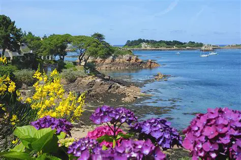 Madère : L'Île aux Fleurs, un Trésor Atlantique à Découvrir