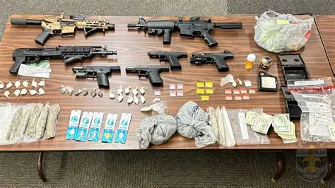 Massive Drug Busts: Unveiling the Impact on Communities and Crime Rates
