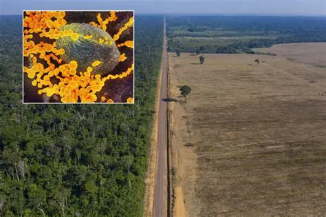 Menor Diversidad de Especies