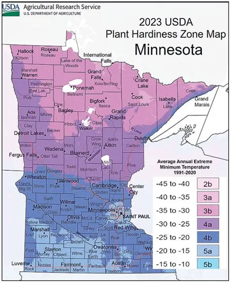 Minnesota Weather: Your Comprehensive Guide to the Gopher State's Climate