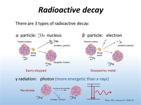 Modeling Radioactive Decay
