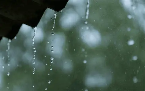 Mostrar probabilidad de lluvia por hora