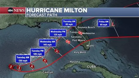 Latest News in New Milton: Keeping You Informed