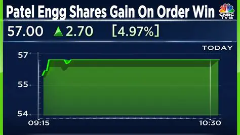 Oscar Investments Ltd Share Price: Navigating the Market and Analyzing Performance