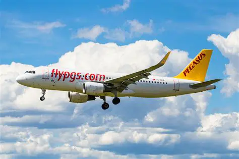 Pegasus Airlines: An In-Depth Look at Turkey's Low-Cost Carrier