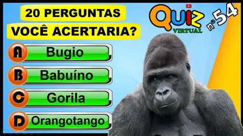 Perguntas e Respostas sobre o Problema de Arranjo de Casais de Amigos