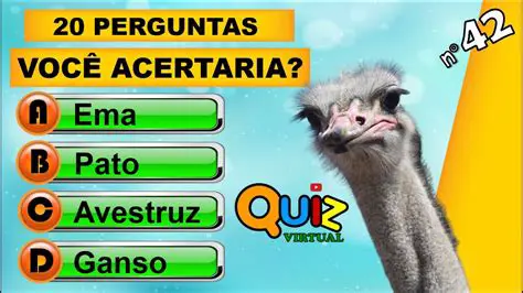 Perguntas e Respostas sobre Taxa de Contato