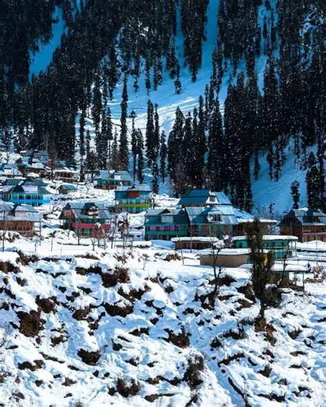 Poonch, Kashmir: Latest News and Key Developments