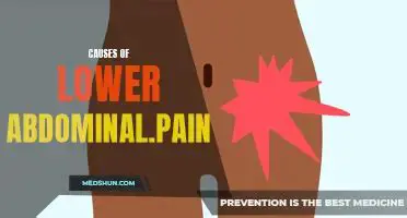 Possible Causes of Lower Abdominal Pain