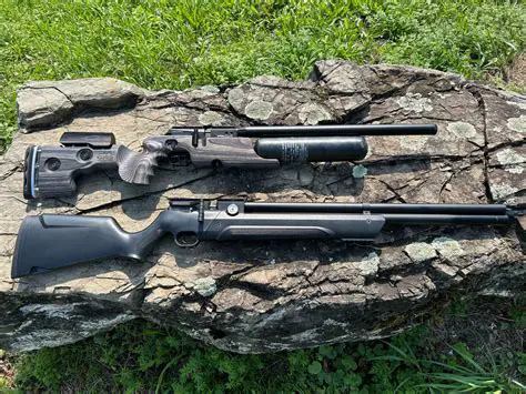 The Precision Hunter: Mastering Wild Boar Management with PCP Air Rifles