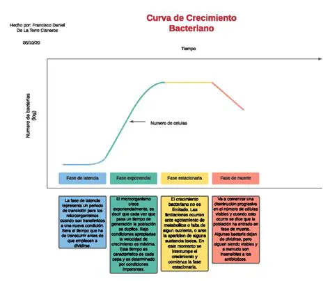 Preguntas y respuestas sobre el crecimiento de una bacteria