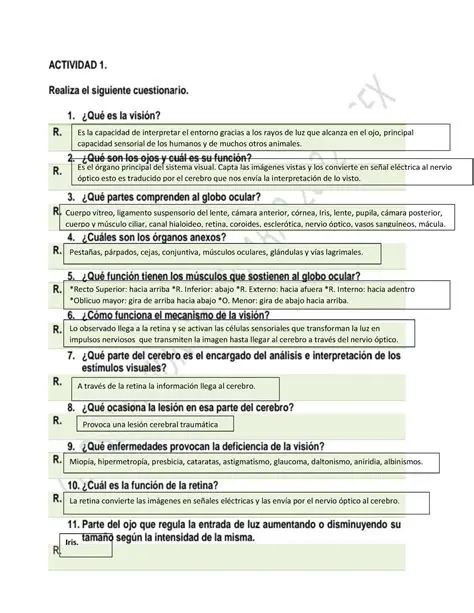 Preguntas y Respuestas sobre Juan Largo y Periquillo