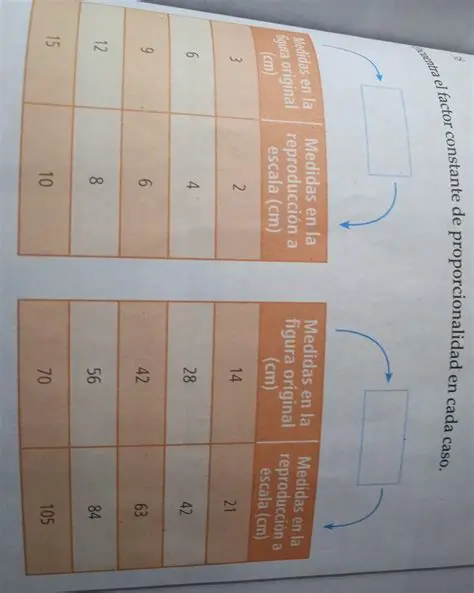 Preguntas y Respuestas sobre la Constante de Proporcionalidad