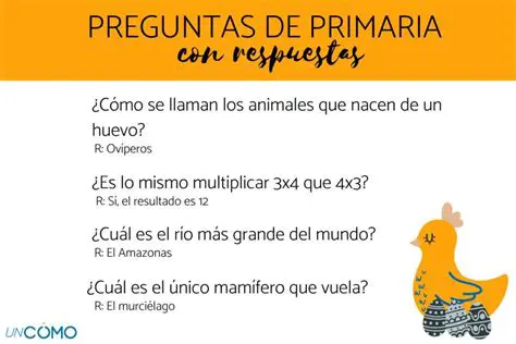Preguntas y respuestas sobre las cajas con base rectangular