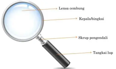 Prinsip Kerja Lup Titik Fokus