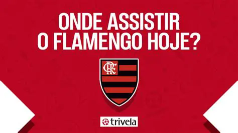 Próximo Jogo do Flamengo: Data, Horário, Adversário e Onde Assistir