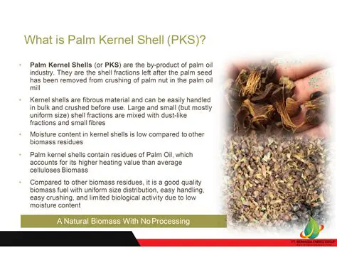 PT PKS: Navigating Indonesia's Palm Kernel Shell Industry - Opportunities and Challenges