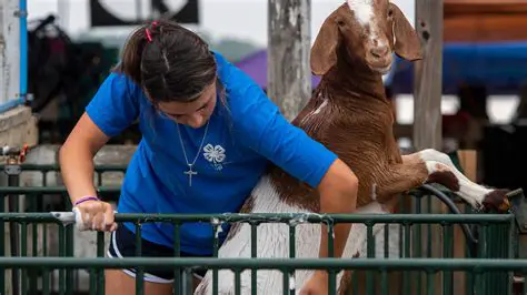 Ryan Adams: A Jornada Musical de um Artista Ímpar