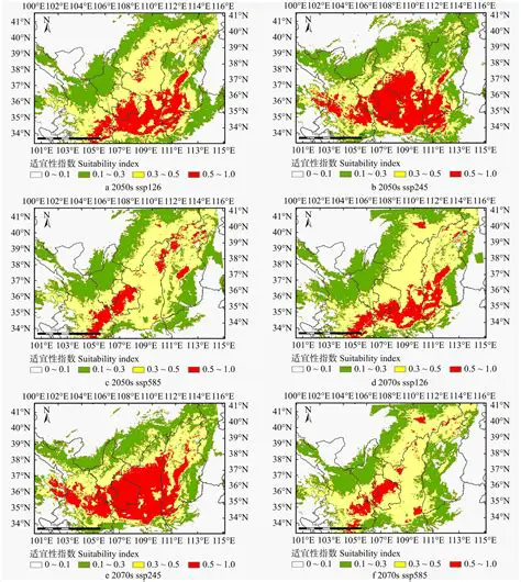 사정기관: 권력의 감시와 균형, 그 역할과 중요성 심층 분석