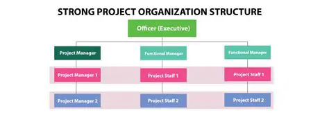 Set up the project structure