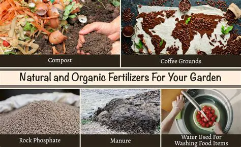 Sources of Seeds and Fertilizers