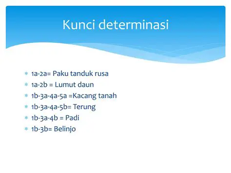 Struktur Kunci Determinasi