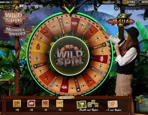 Take advantage of the free spin bonus round