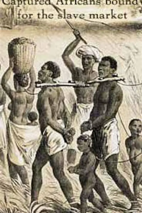 The African Slave Trade and Sugar Production