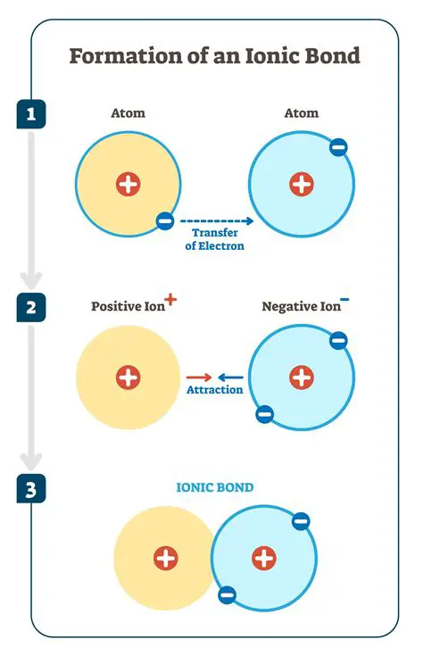 The Force Holding Elements Together in an Ionic Bond