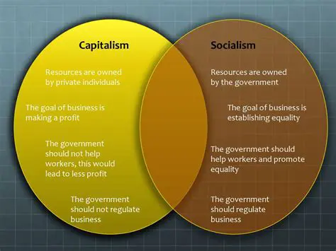 The Government Should Regulate Business