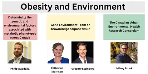 The Home Environment and Obesity