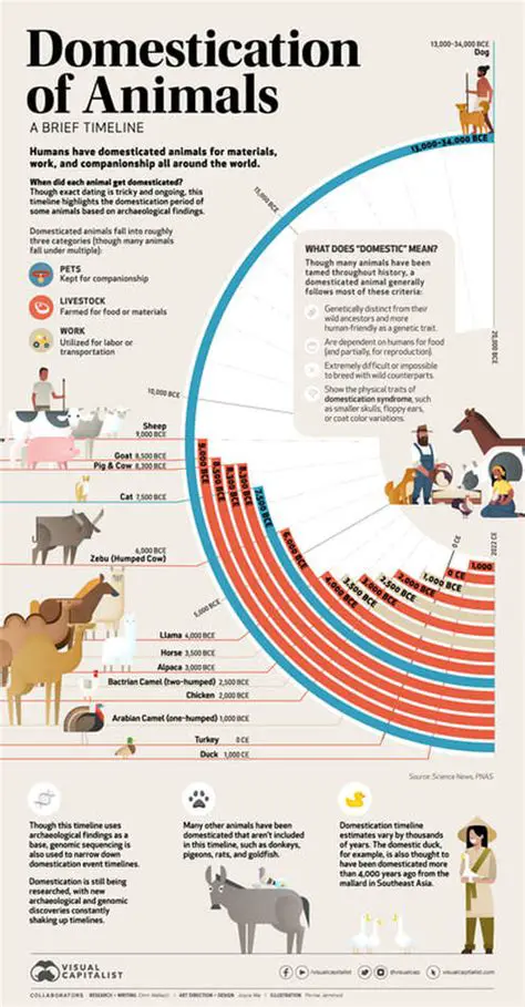 The Impact of Horse Domestication on Human Societies