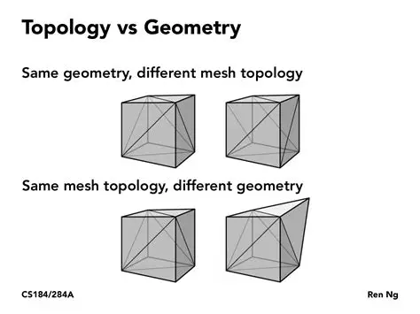 The Importance of Geometry and Topology