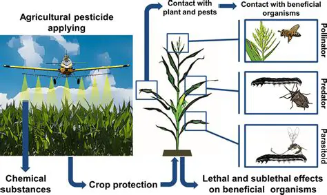 The Importance of Pesticide Use Awareness