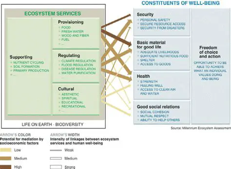 The Millennium Ecosystem Assessment