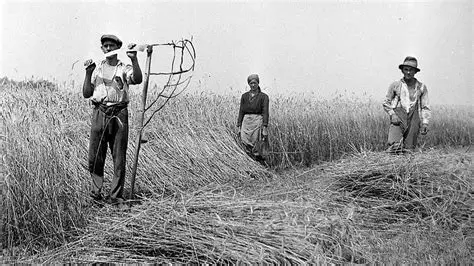 The Occupation and Land Reform