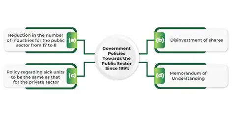 The Relationship Between the Government and the Service Provider