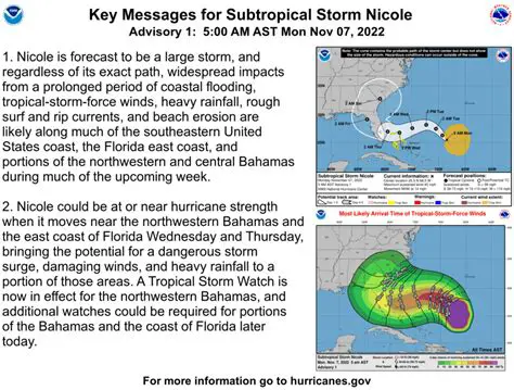 Tropical Storm Nicole: A Deep Dive into Its Impact and Preparedness